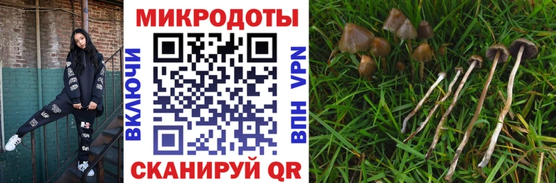 Купить где  Кувандык  Псилоцибиновые грибы мухоморы 